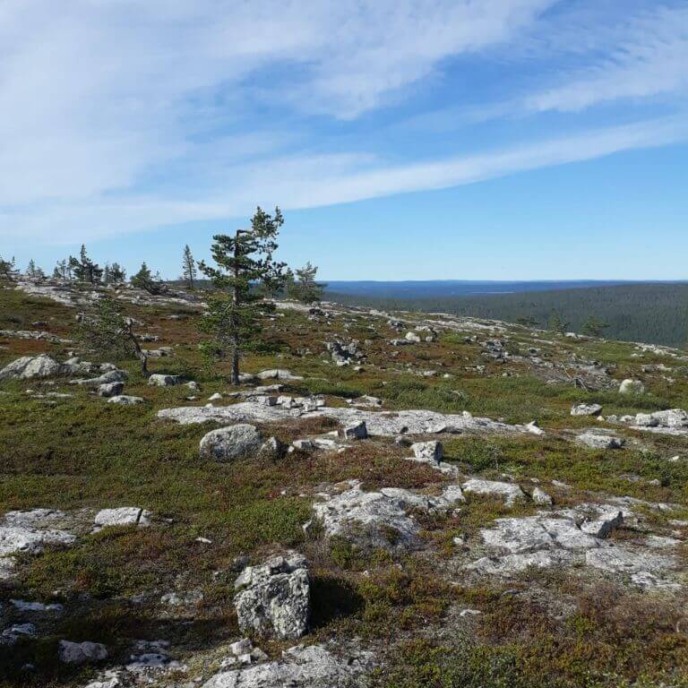 Vapaa-ajan-palvelujen-turvallisuus